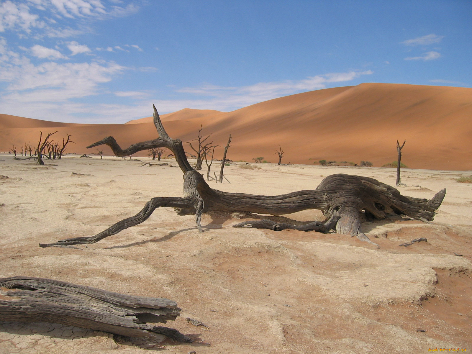 Долина смерти Намибия
